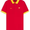 Paddy-Poloshirt mit Landesflagge