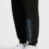 Trainingshose mit Ombré-Logo aus Baumwollfrottee